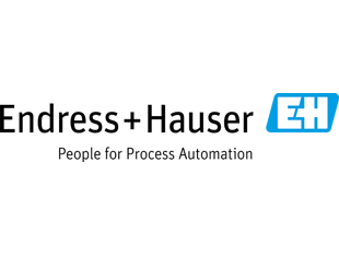 Endress+Hauser logo